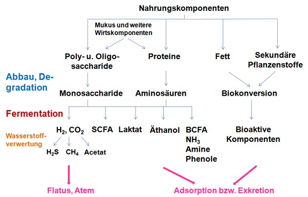 Veterinary secrets : how conventional veterinary medicine may be harming your pets and what you can do