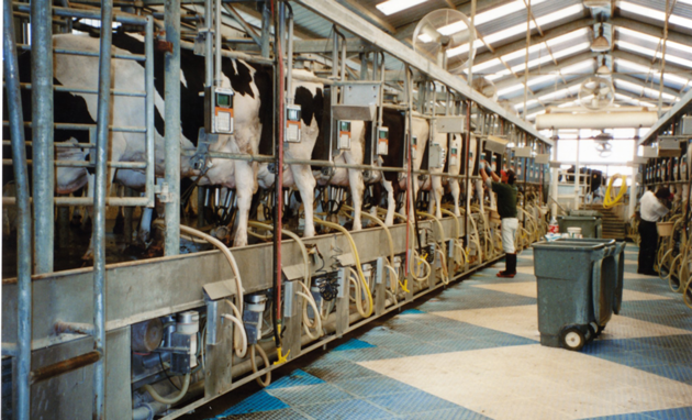 Milcherzeugung unter den Bedingungen des Klimawandels – Möglichkeiten